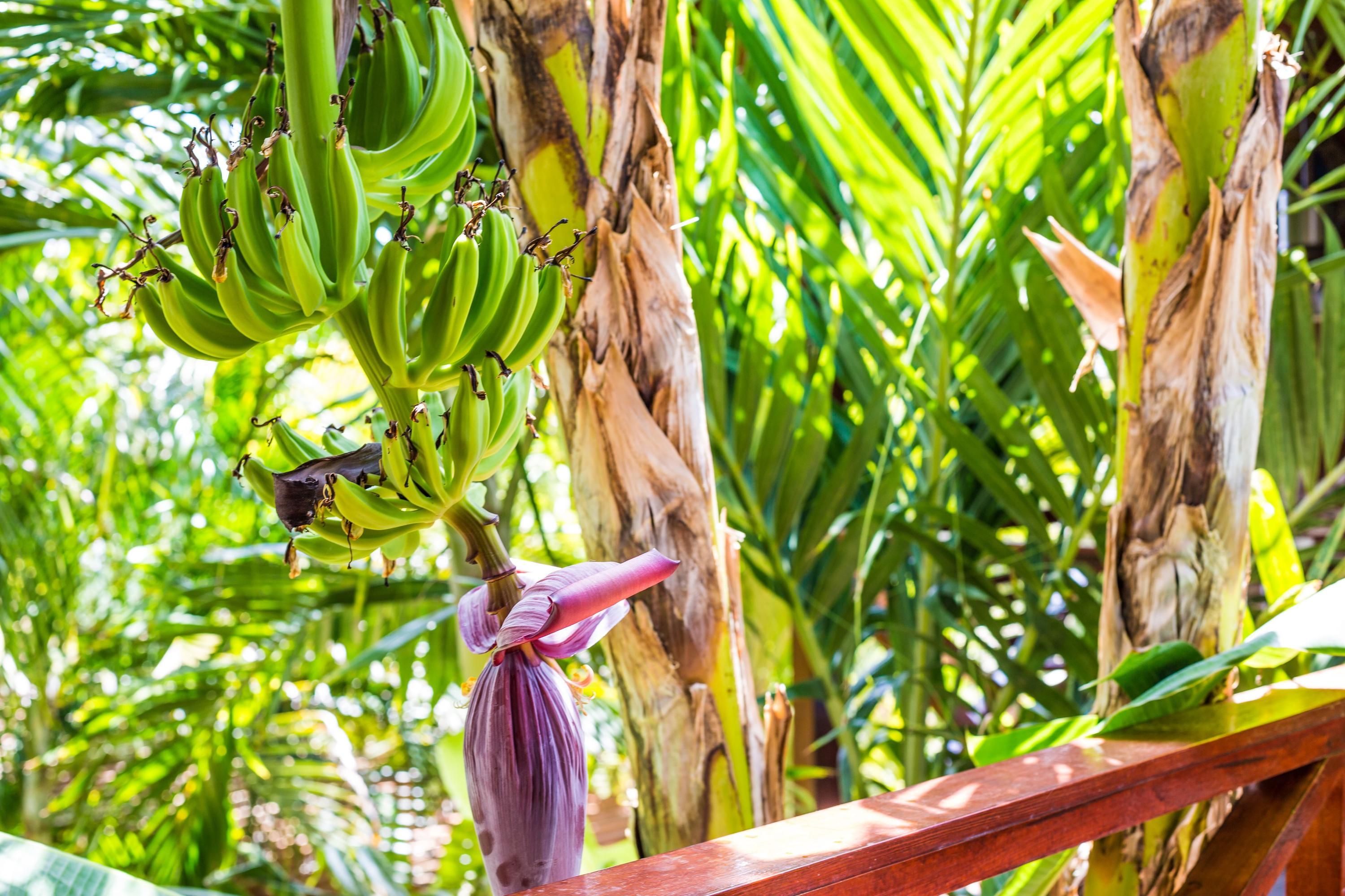Outdoor view
