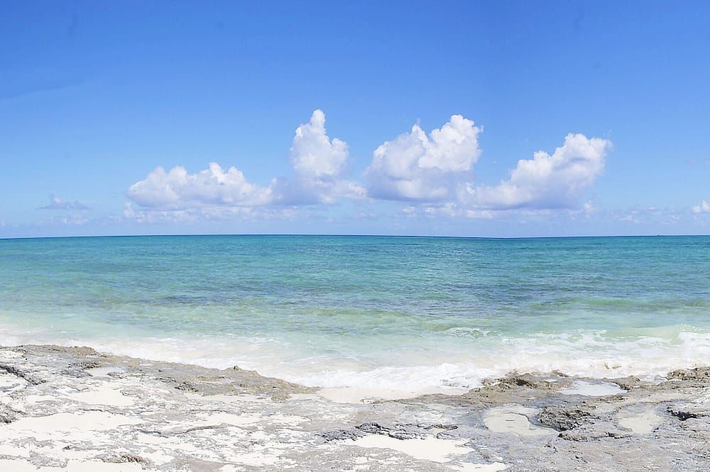 Beach Photo