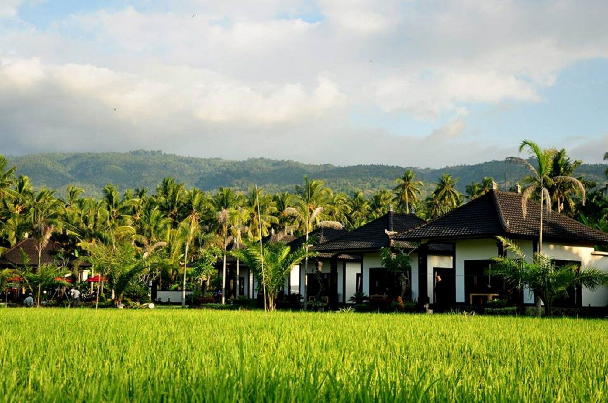 Outdoor view