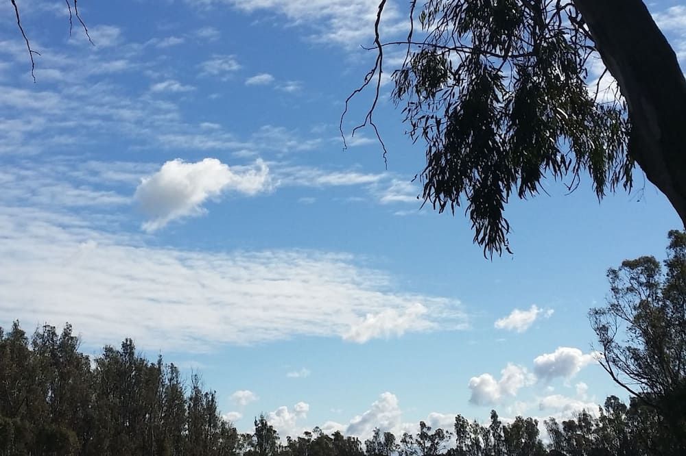 Outdoor view