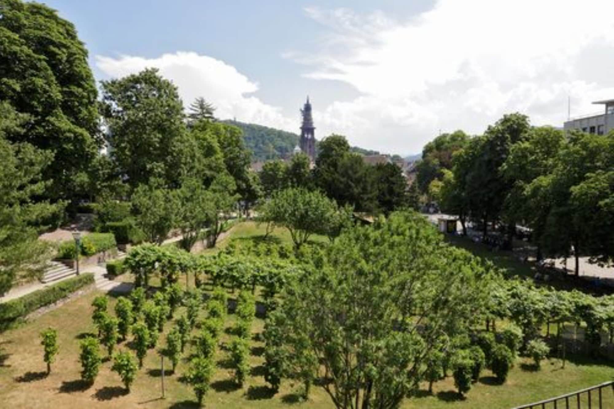 Outdoor view