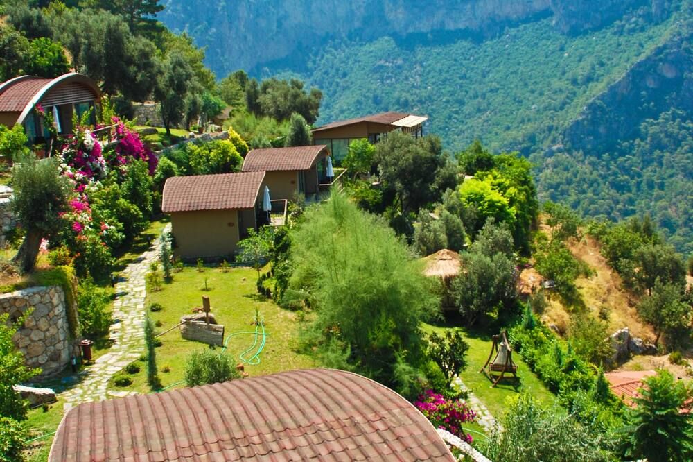 Outdoor view