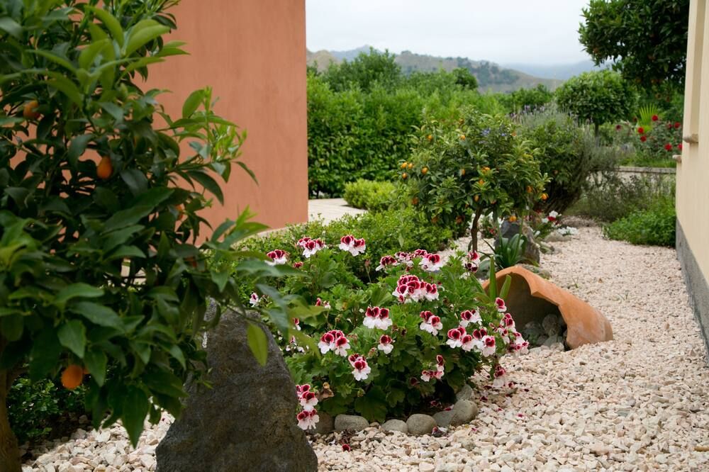 Outdoor view
