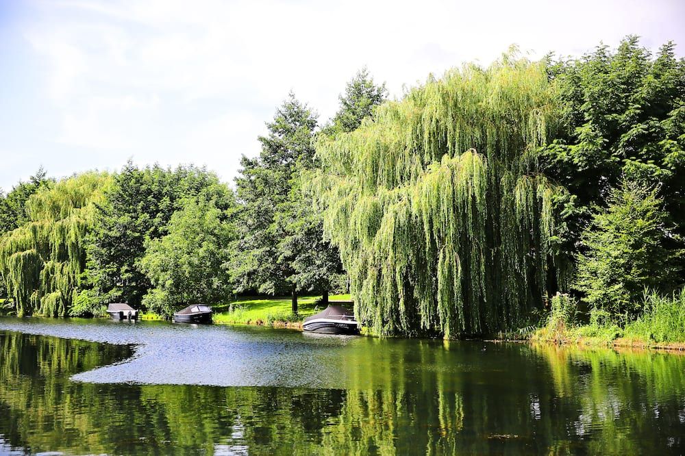 Outdoor view