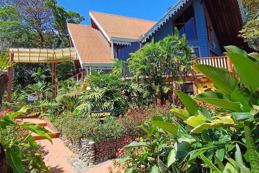 Outdoor view