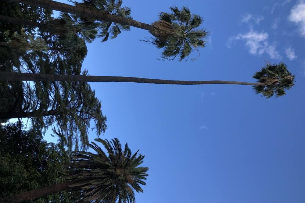 Outdoor view