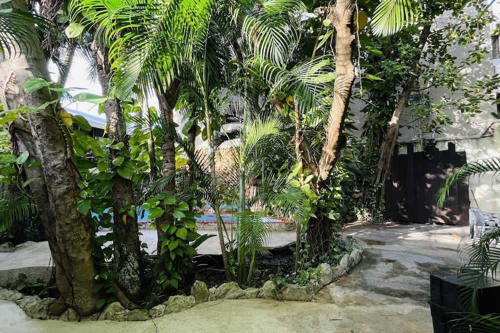 Outdoor view