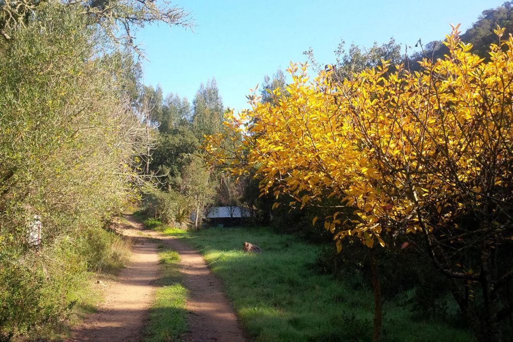 Outdoor view