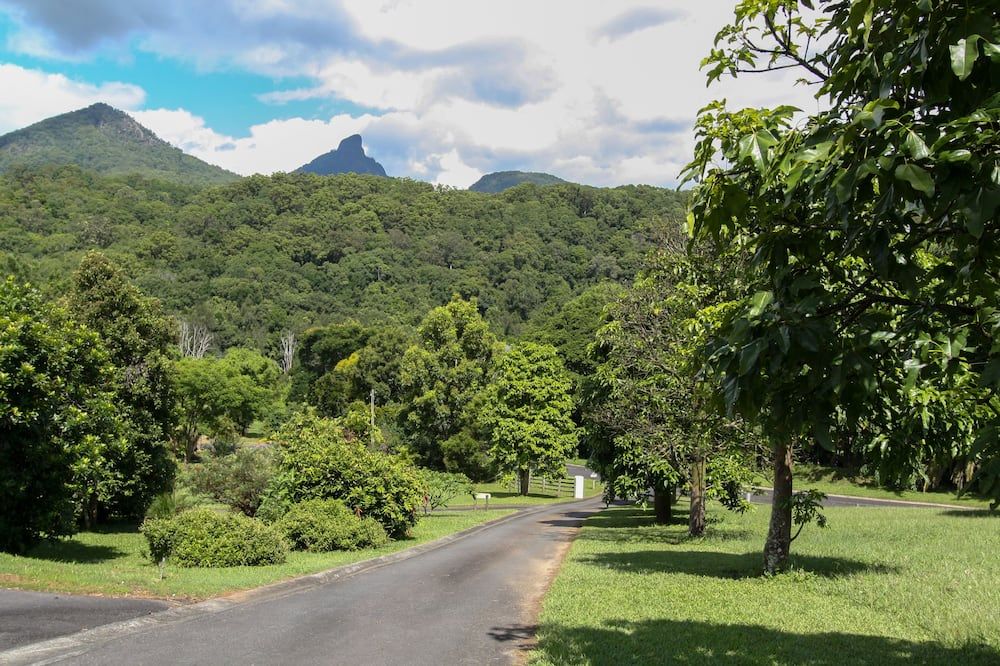 Outdoor view