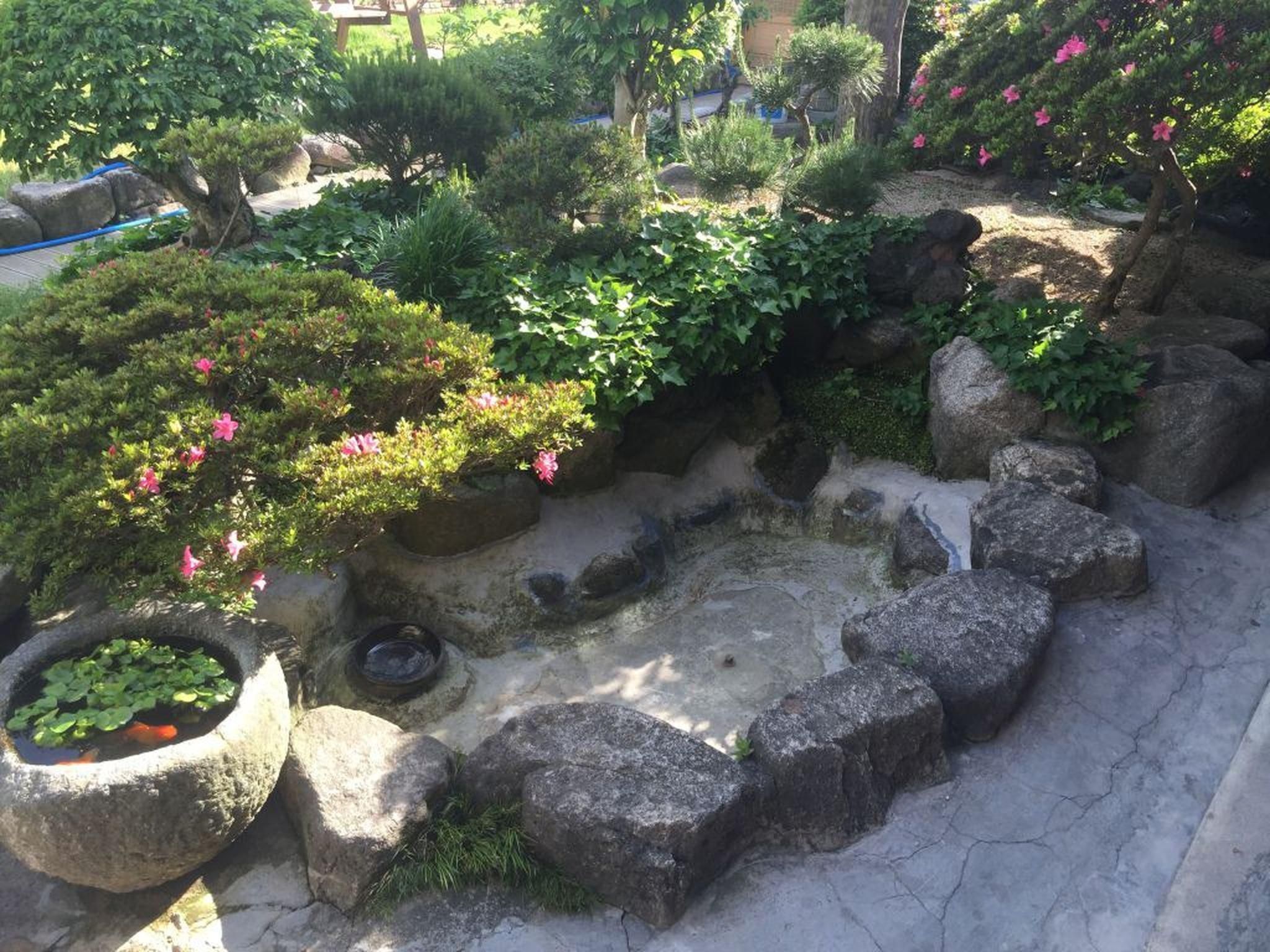 Outdoor view
