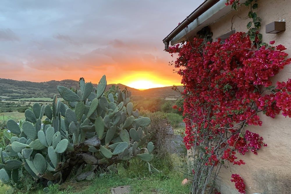 Outdoor view