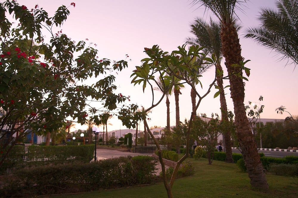 Outdoor view