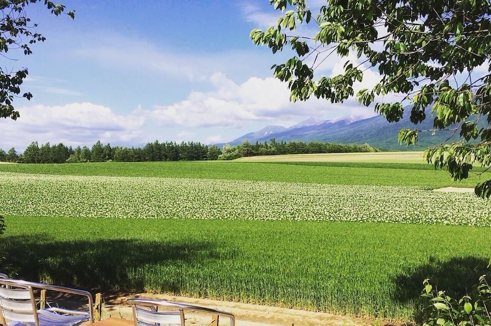 Outdoor view