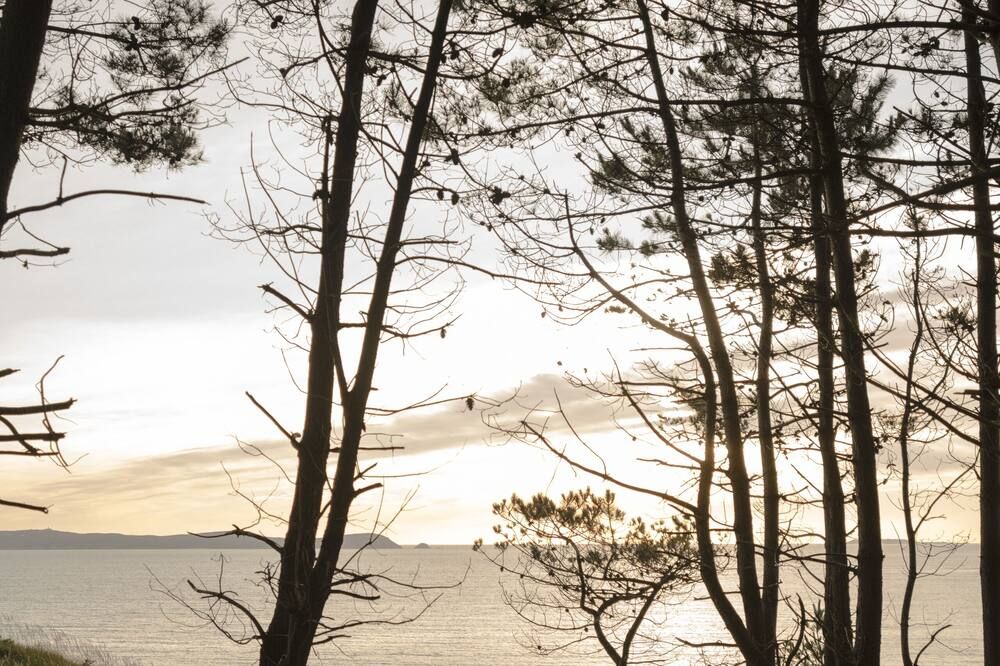 Outdoor view