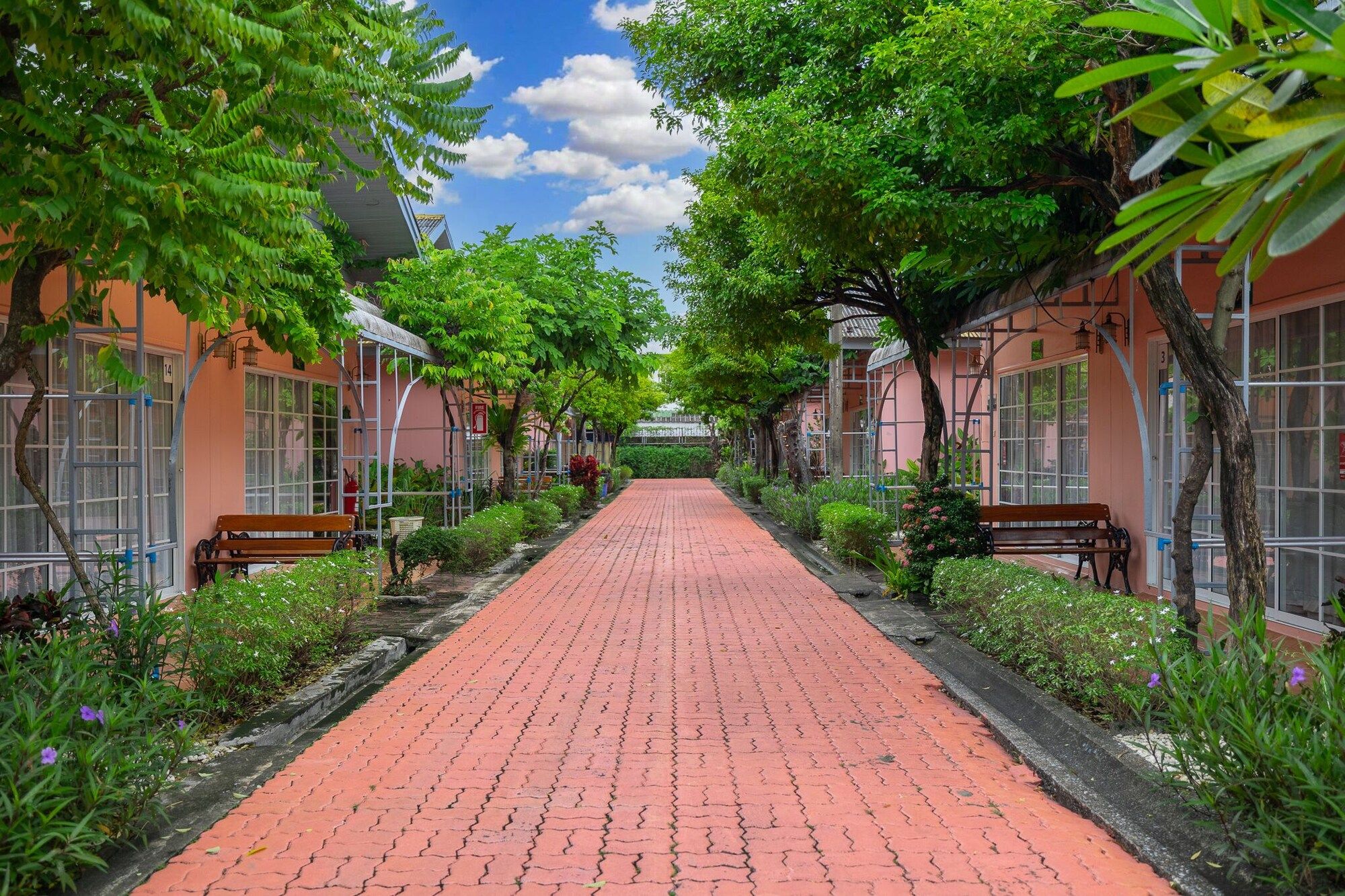 Outdoor view