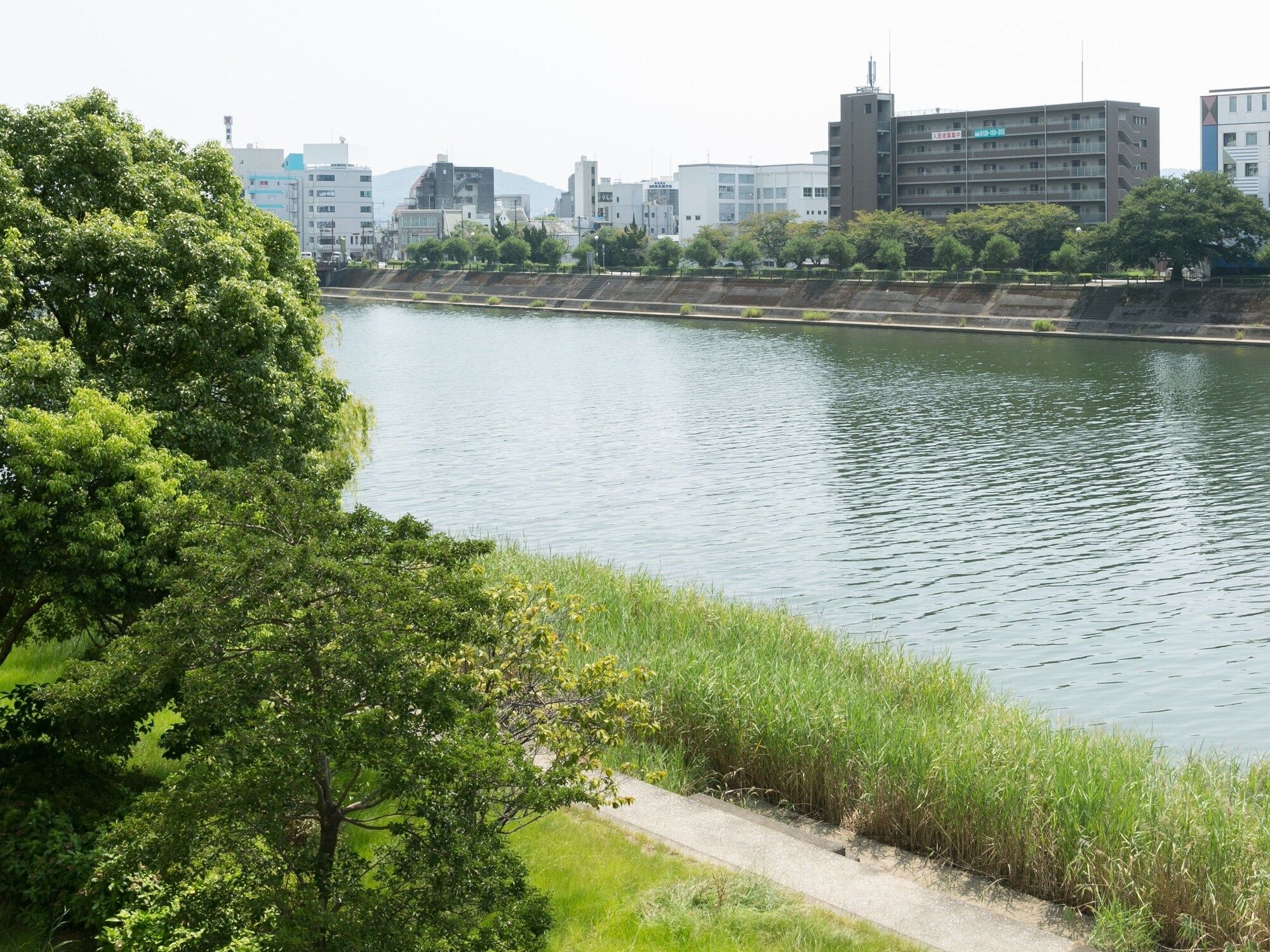 Outdoor view