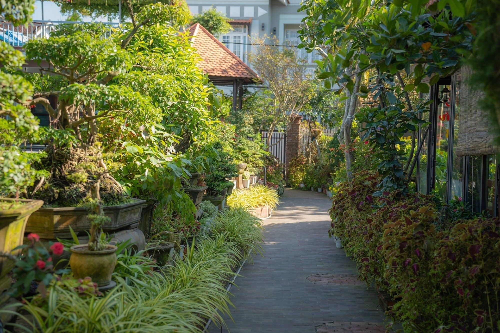 Outdoor view