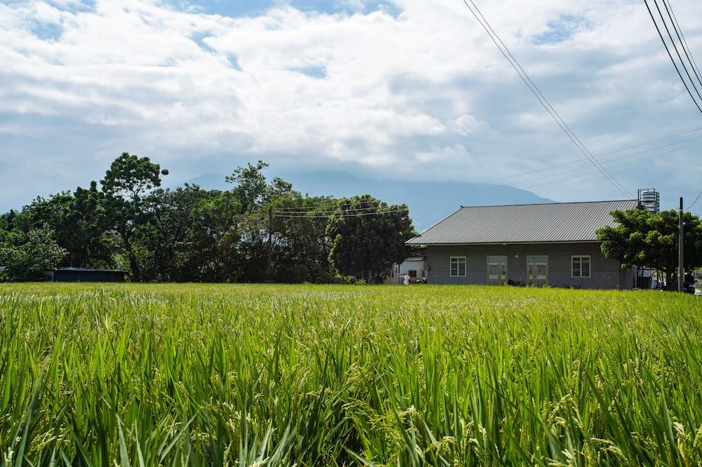 Outdoor view