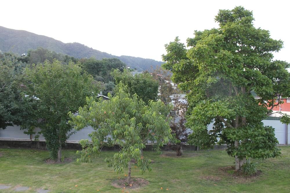 Outdoor view
