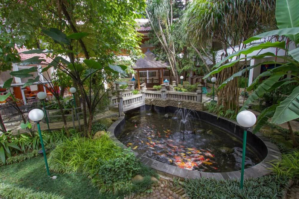 Outdoor view
