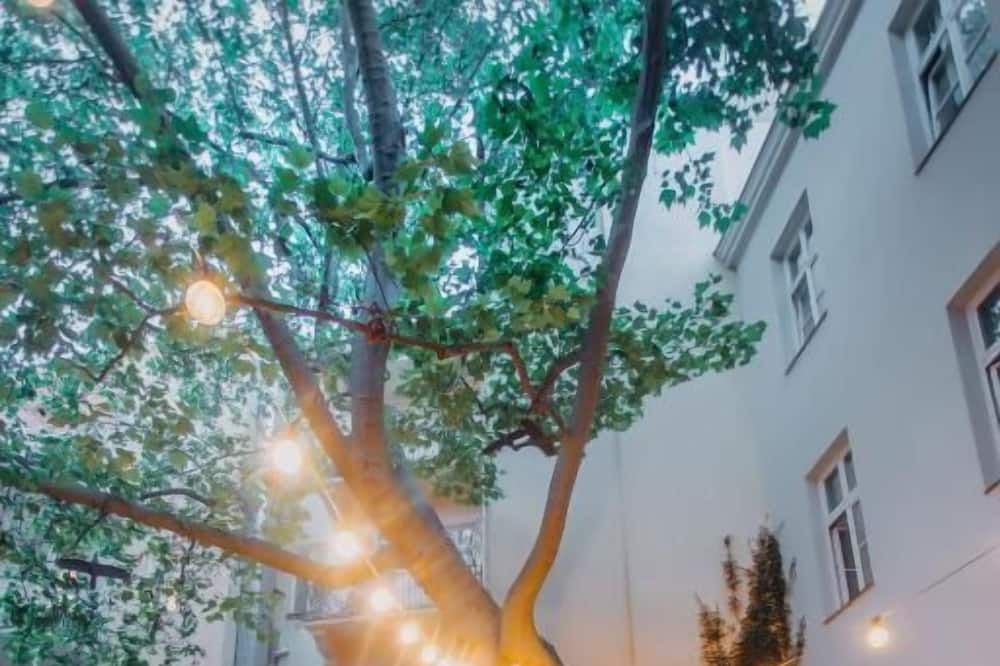 Outdoor view
