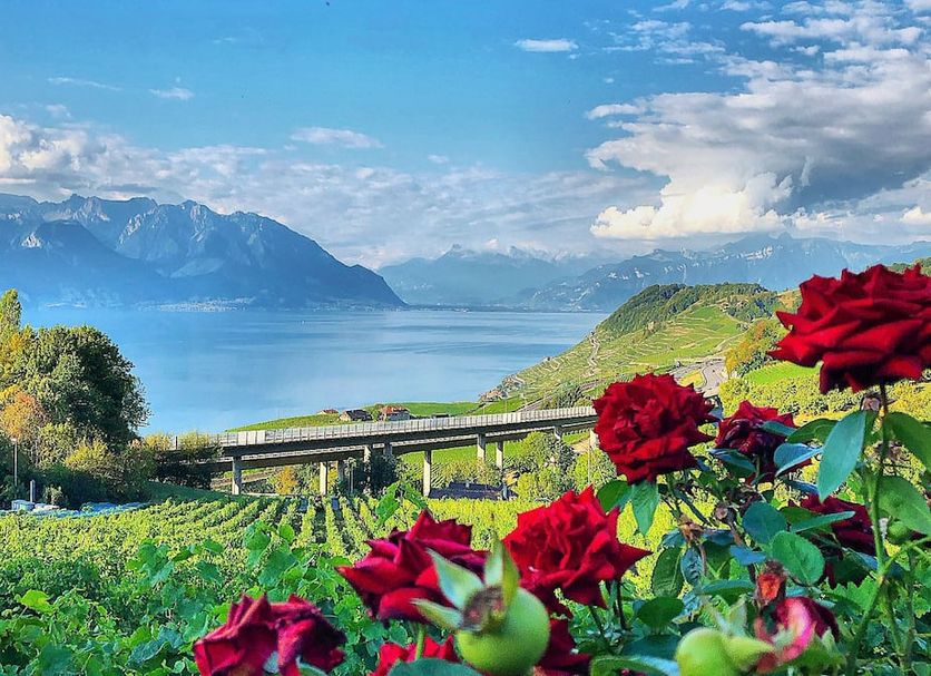 Outdoor view Photo