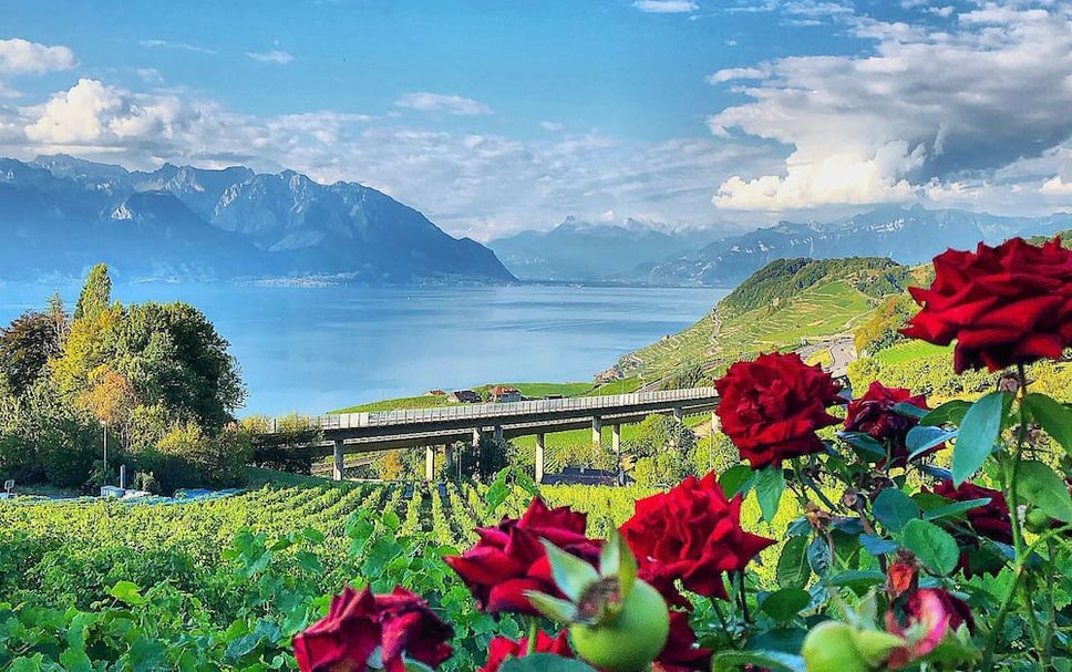Outdoor view Photo
