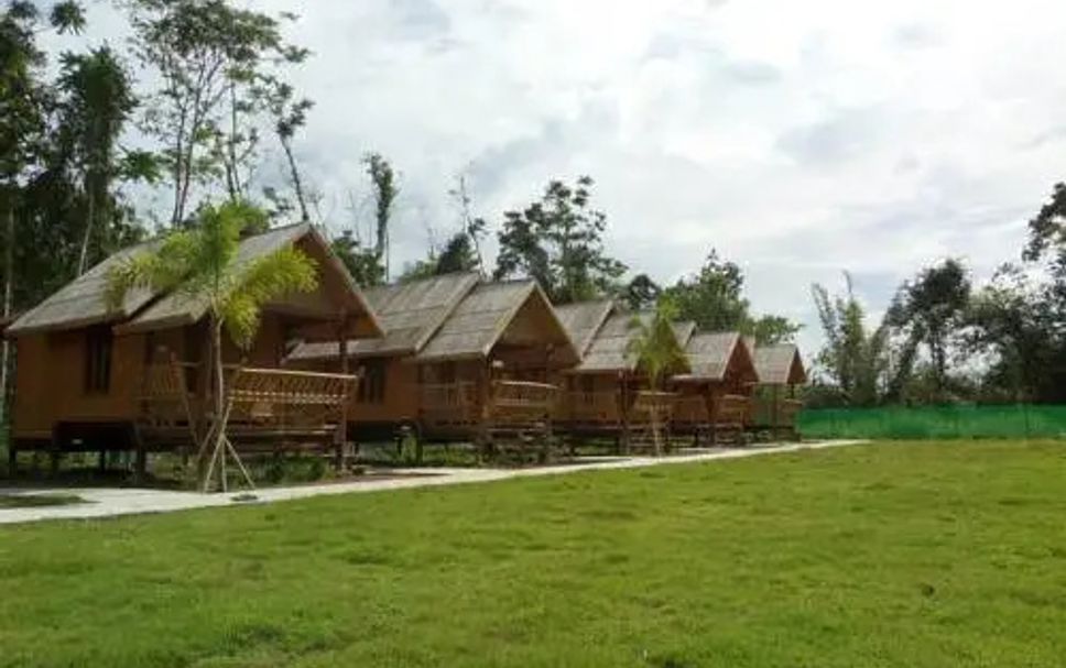 Other Photo