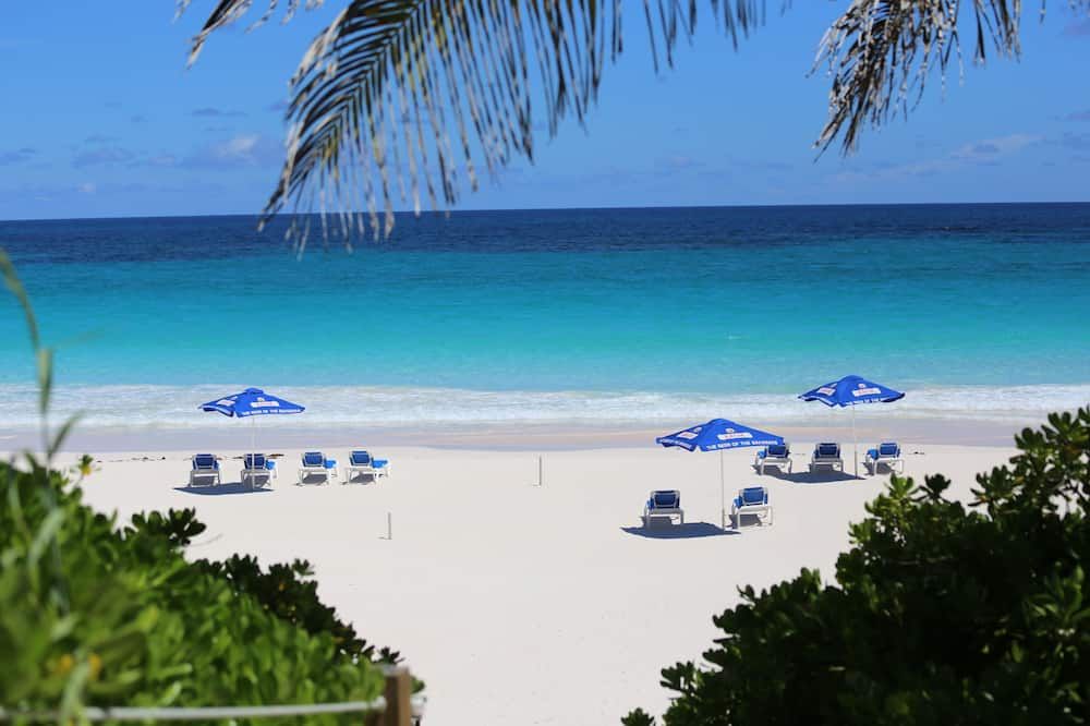 Beach Photo