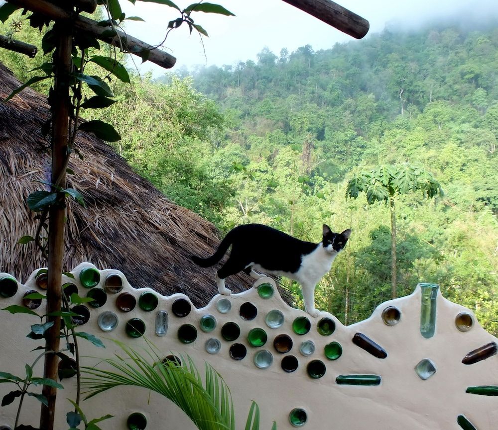 Outdoor view
