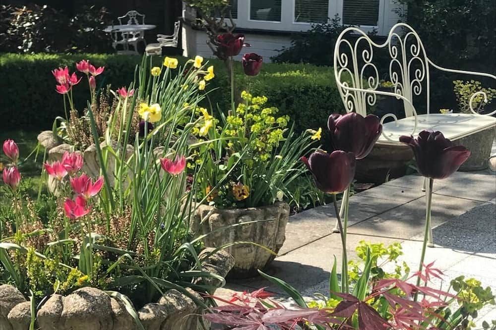 Outdoor view