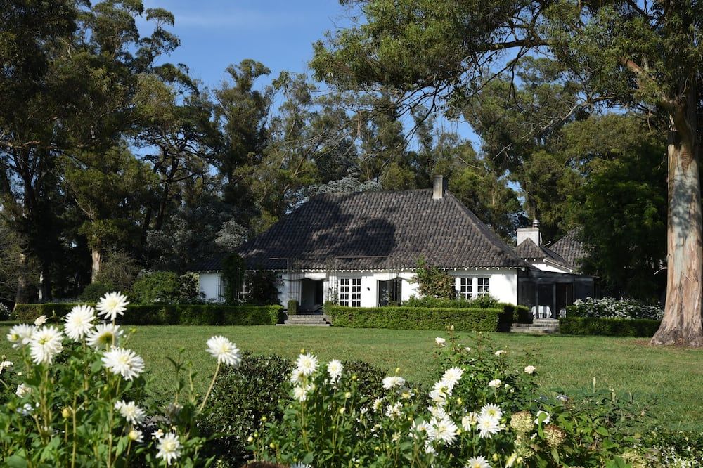 Outdoor view