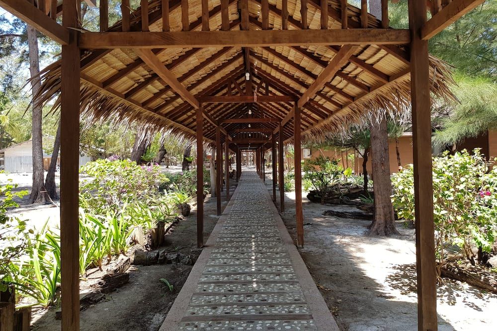 Outdoor view