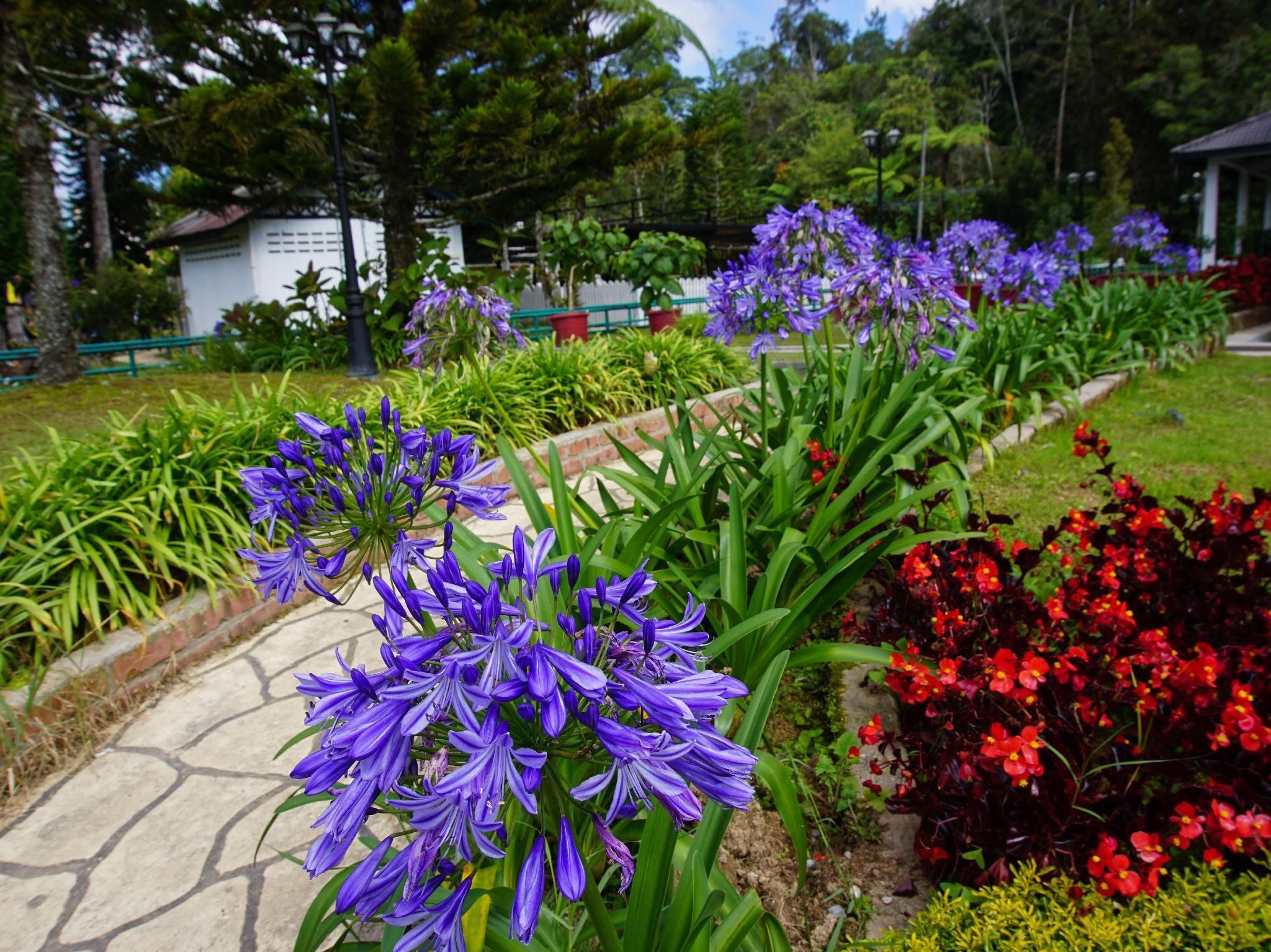 Outdoor view