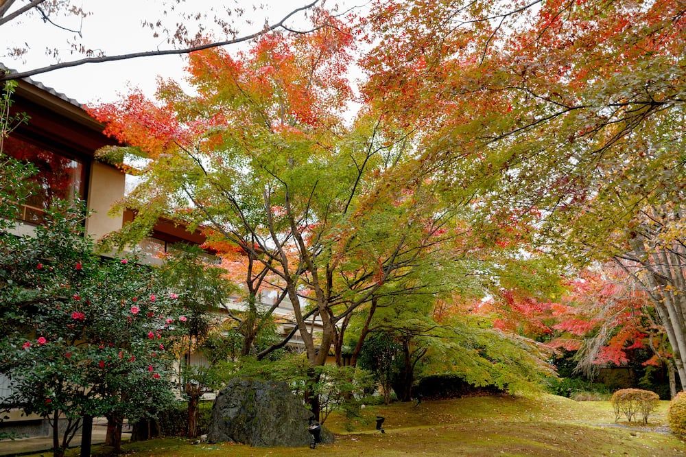 Outdoor view