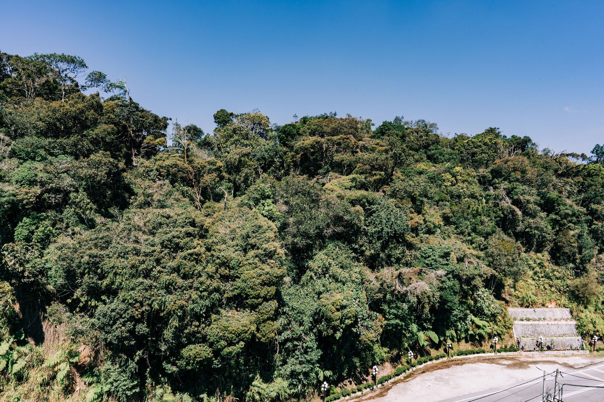 Outdoor view