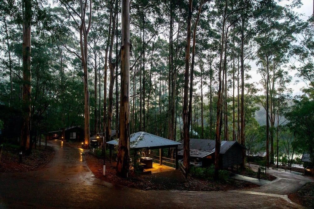 Outdoor view