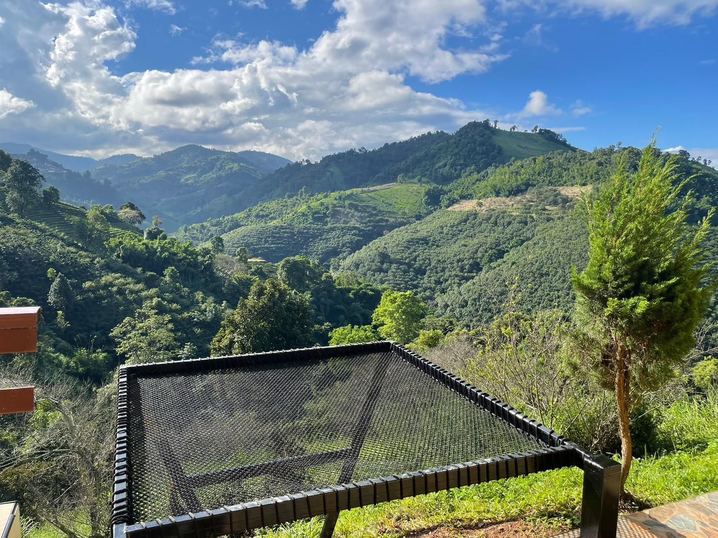 Outdoor view
