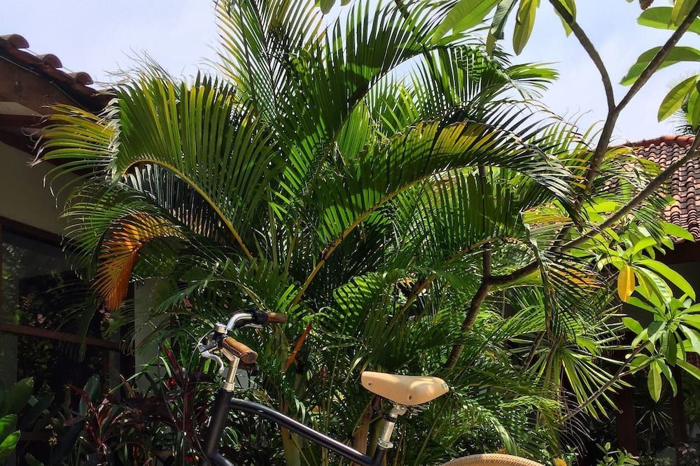 Outdoor view