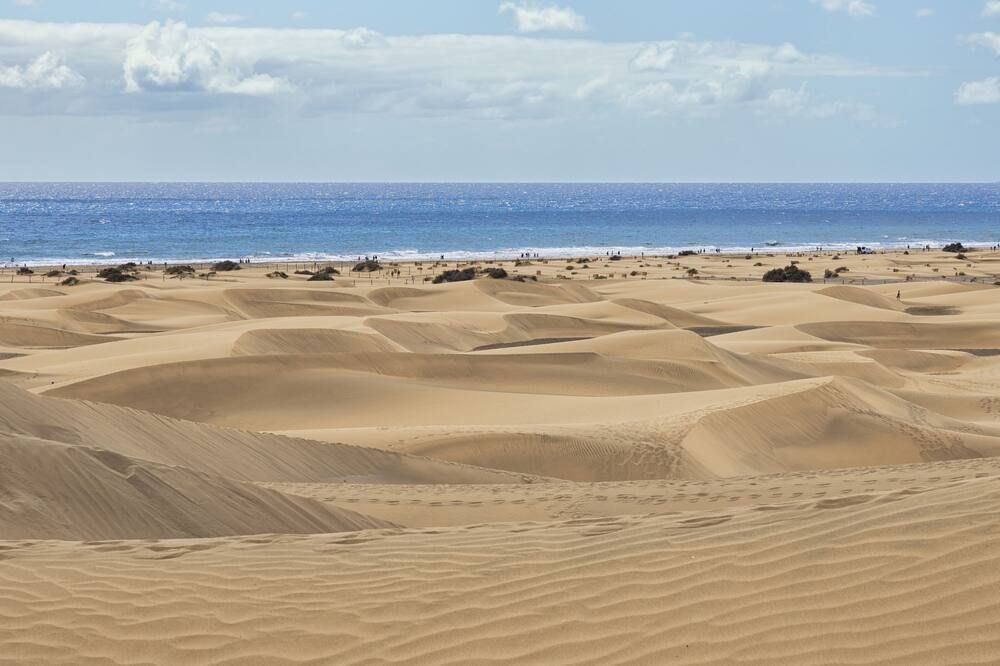 Beach Photo
