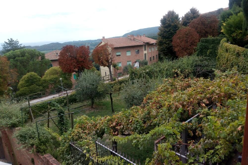 Outdoor view