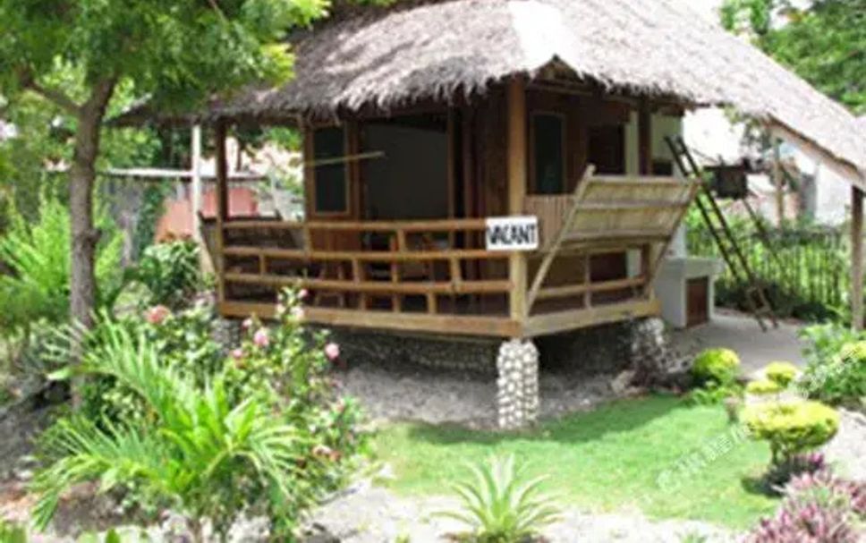 Other Photo