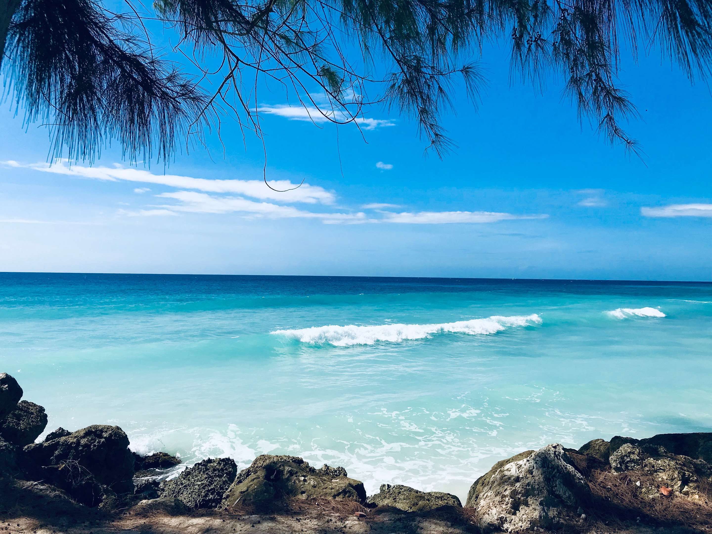 Beach Photo