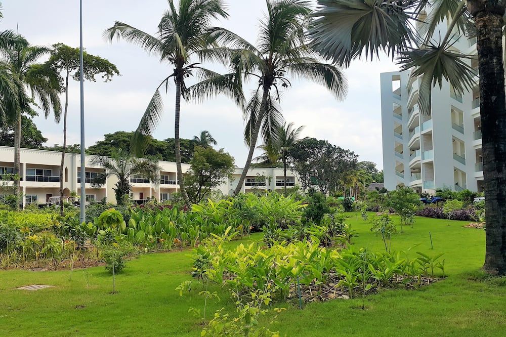 Outdoor view