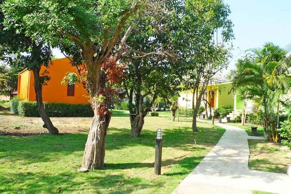 Outdoor view