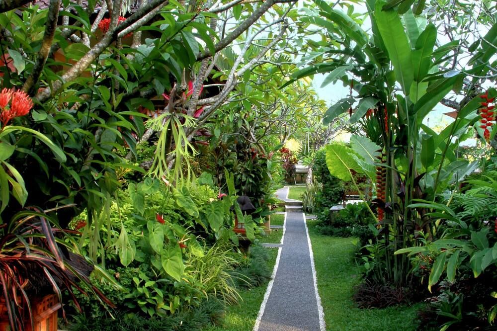 Outdoor view