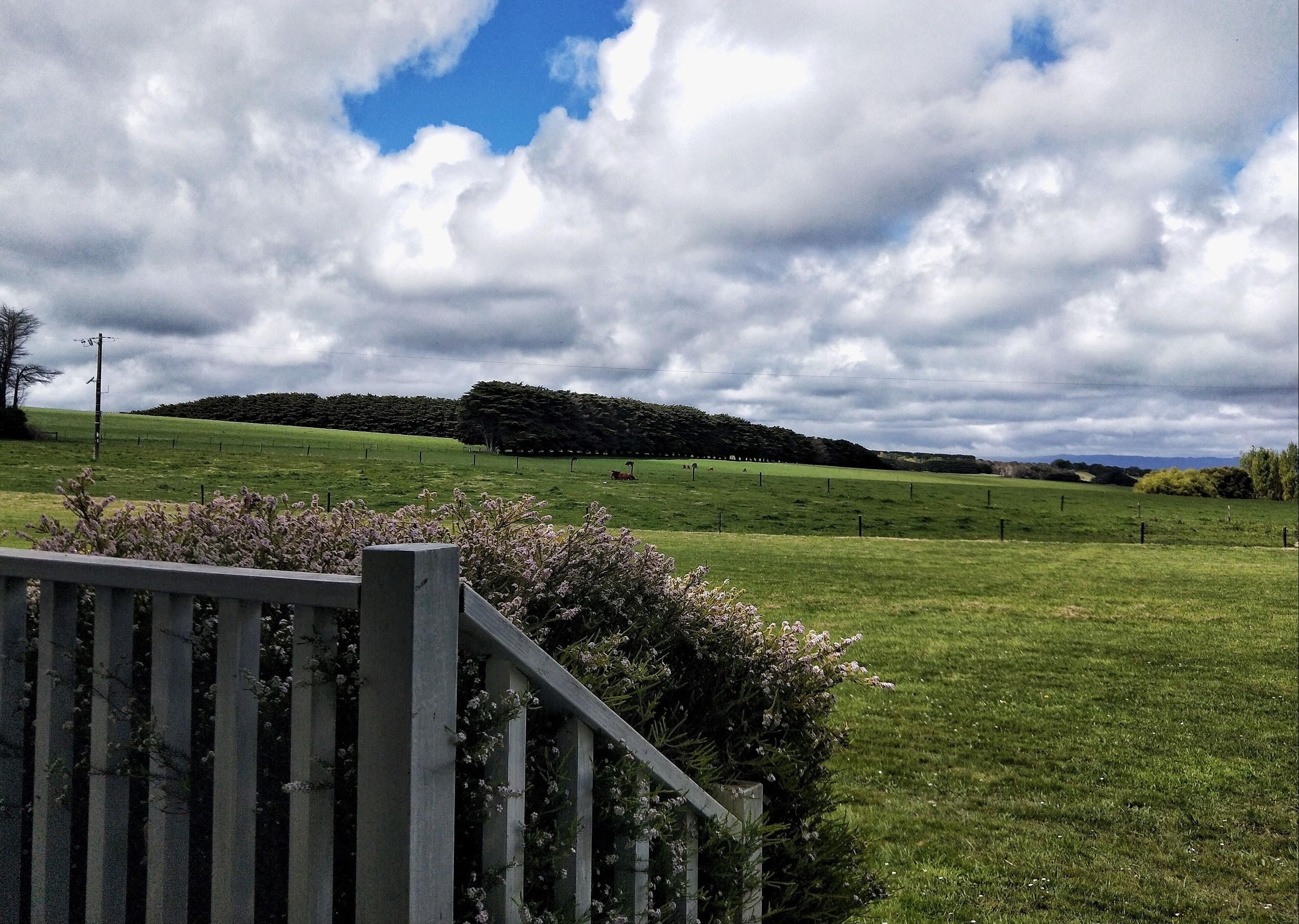 Outdoor view
