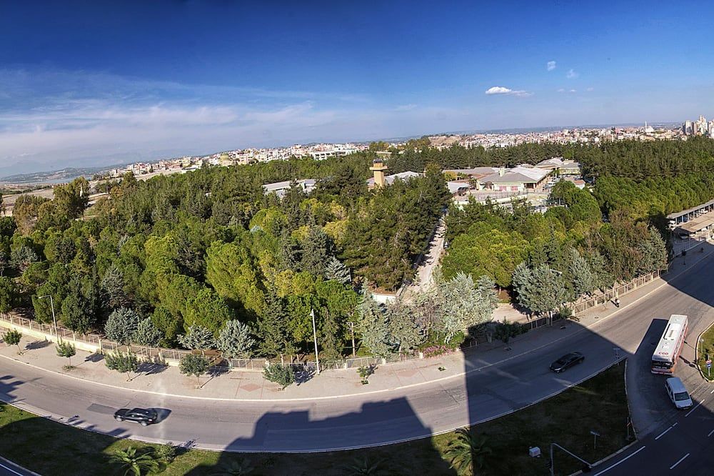 Outdoor view