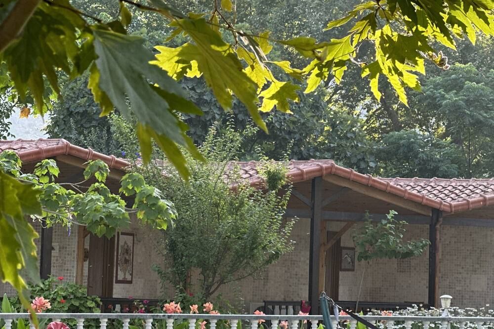 Outdoor view