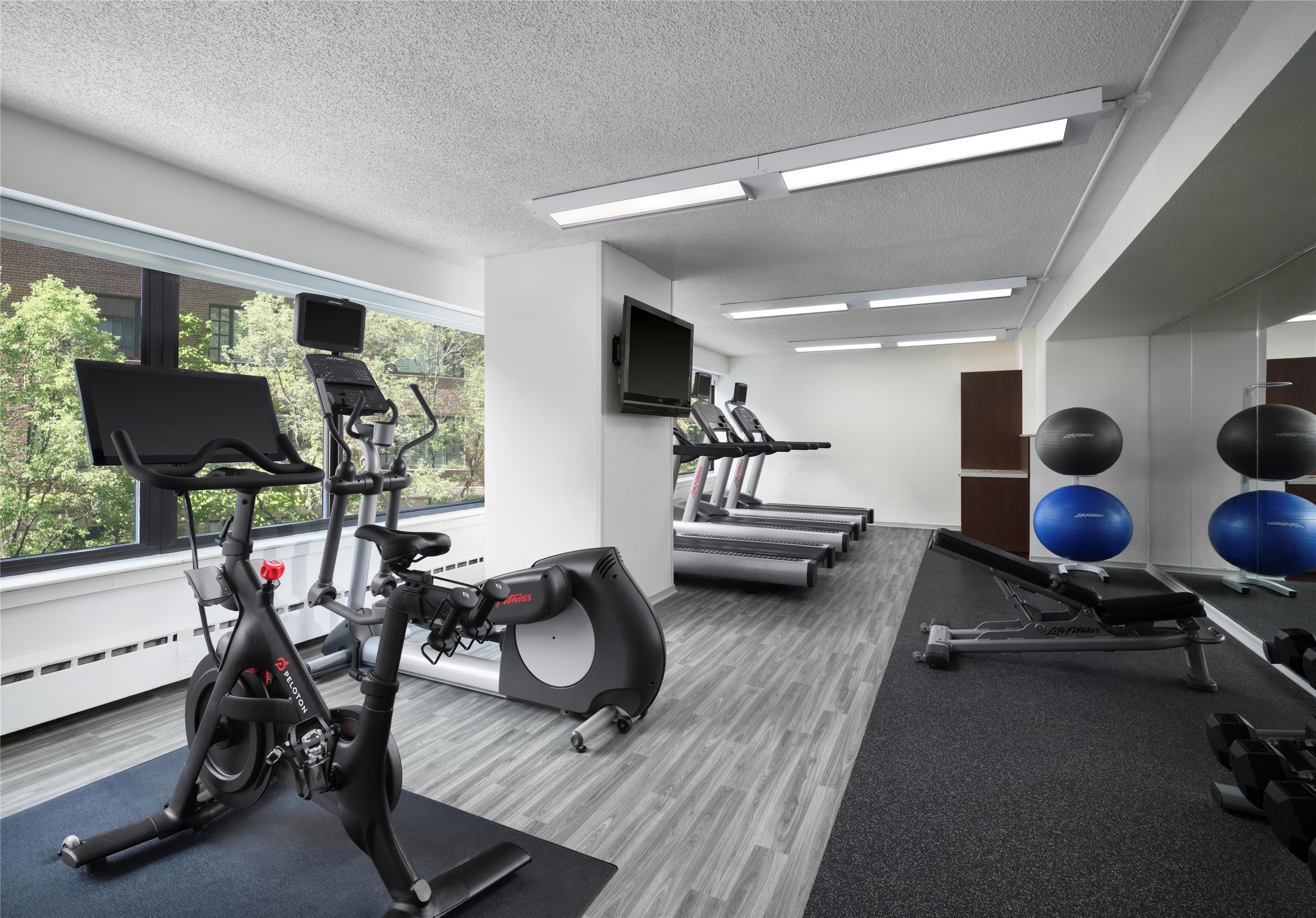 Gym